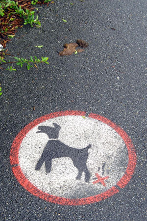 No Dog Fouling Sign